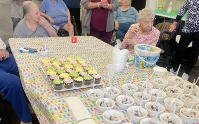 Birthday Celebrations